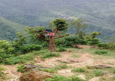 खोटाङका एक युवक रुखमै डेरा बनाएर अनलाइन कक्षा पढ्दै !